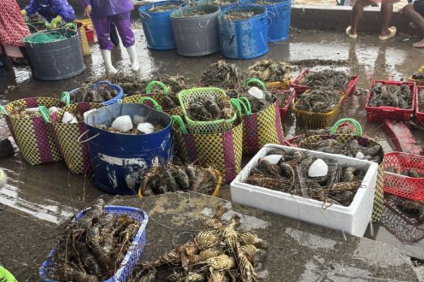 Rau xanh, hải sản từ miền Trung - Tây Nguyên bị gián đoạn vì lũ